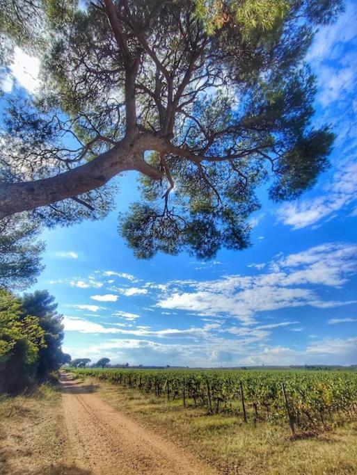 Holiday home La Maison Fayard - 3 Pers - Centre Clim Wifi Cosy Garage Saint-Gilles (Gard)